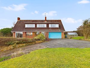 Front- click for photo gallery